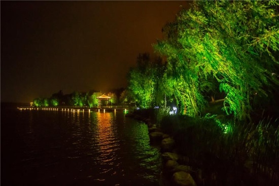 新乡平原湖夜景图片