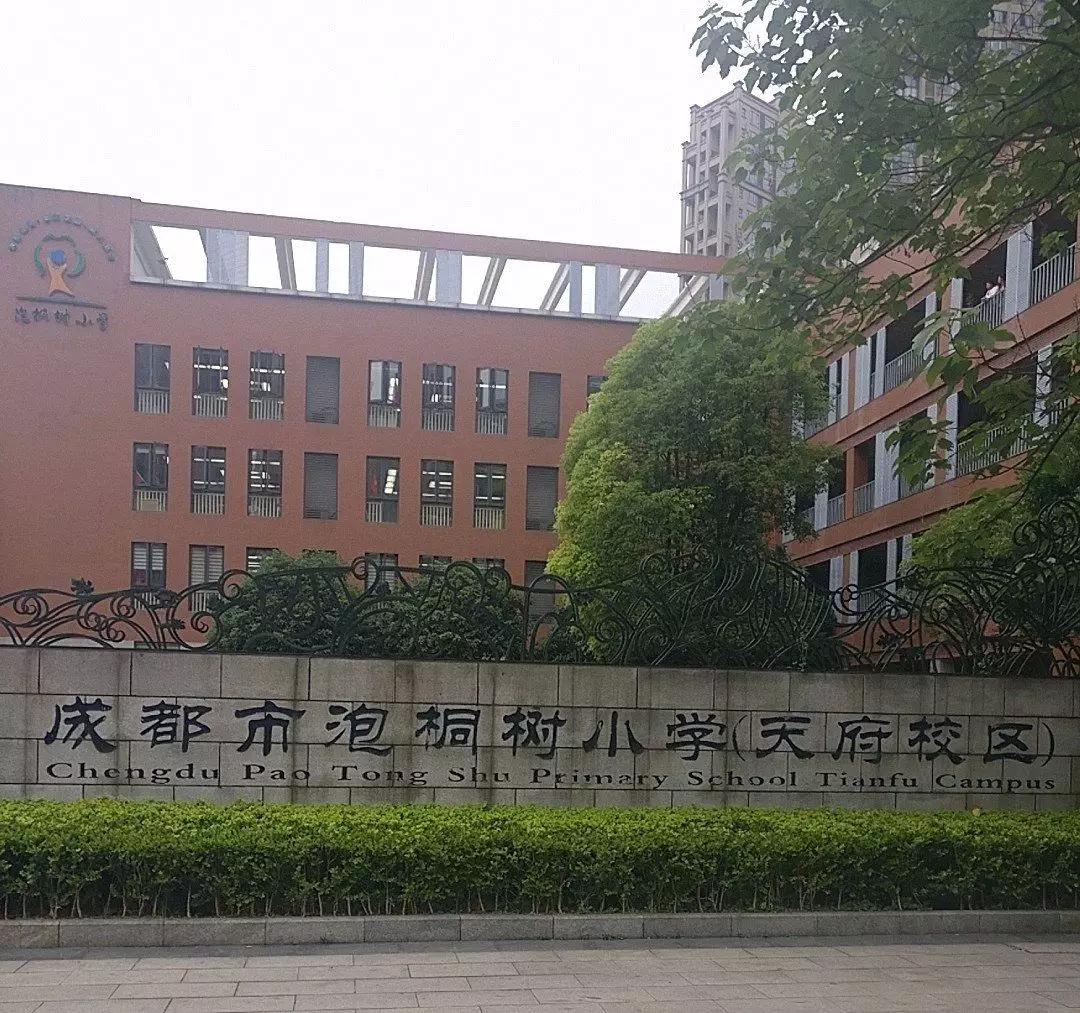 泡桐树小学 logo图片