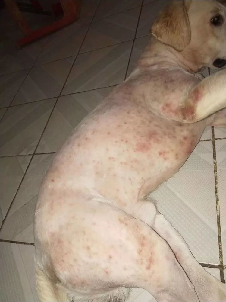 终于皮肤病慢慢好了起来,姐姐也松了一口气.