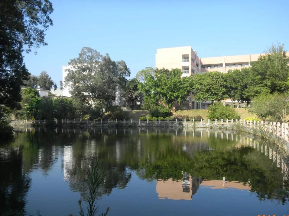 重磅!河源中学将建新校区,校园面积扩大一倍,选址在