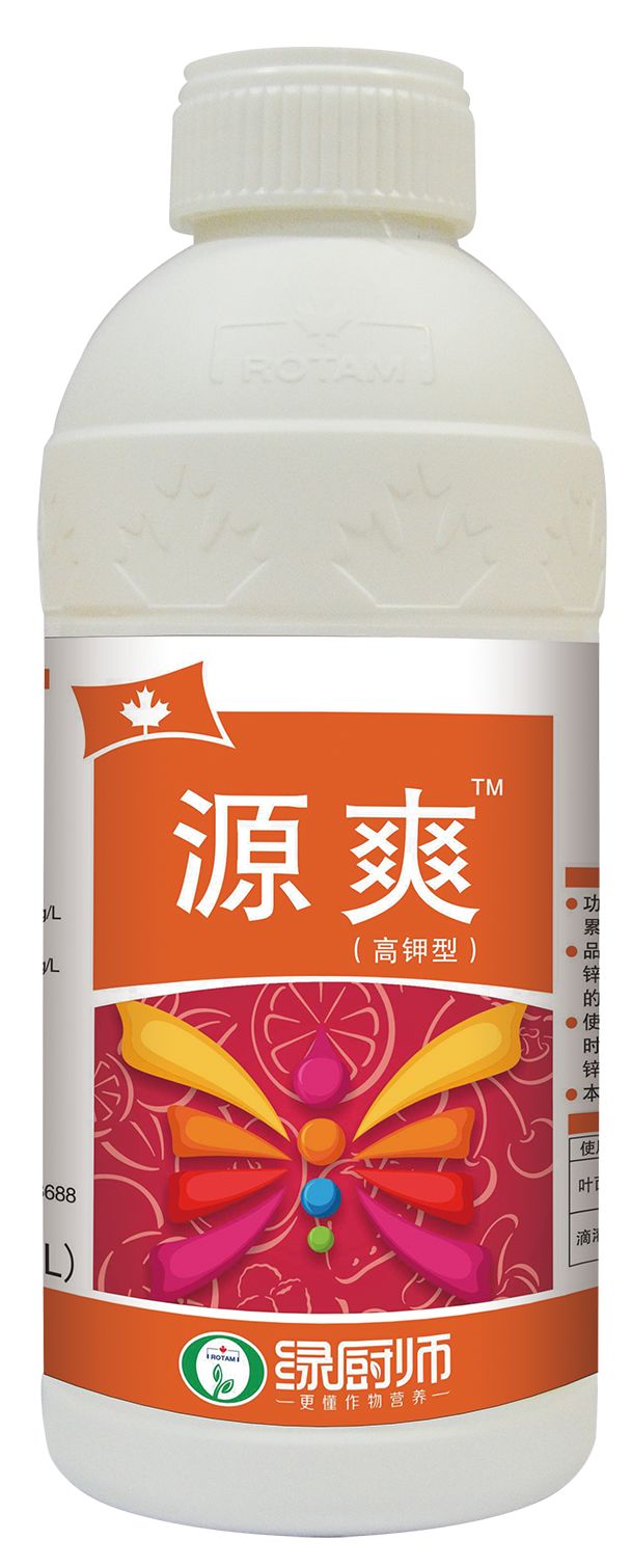 绿厨师柑橘着色龙灯有一套