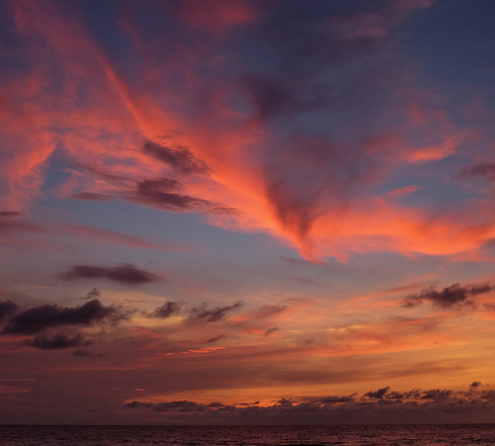 萤火虫,蓝眼泪,粉色清真寺……童话幻境沙巴,美味海鲜白菜价