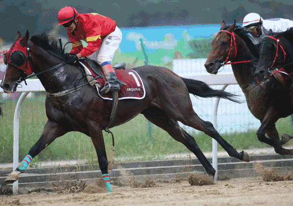 塔额时讯:塔城市又将举行赛马比赛,快报名啦!