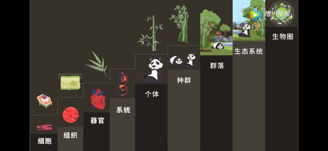 生物大师高中生命系统改变世界的微生物