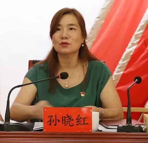 市委第十一指导组全体成员出席会议,组长孙晓红作指导讲话.