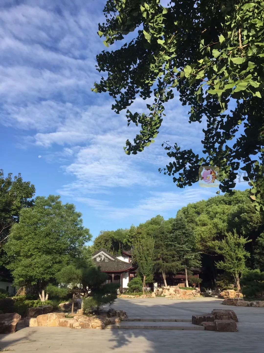 今天清晨江阴花山拍到的一幕