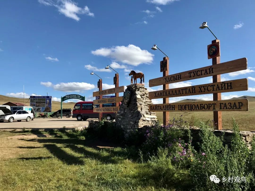 厉害了前几天京山的观鸟节又到了国外连这个国家的部长都来现场致辞