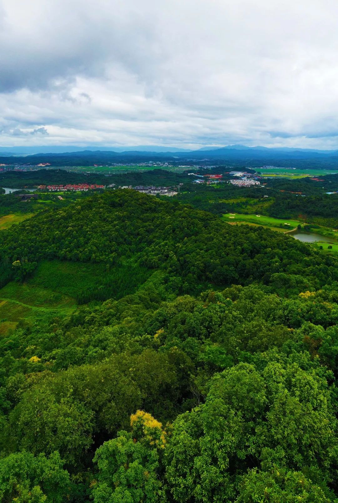 勐海县第十一届勐海国际茶王节落地勐巴拉雨林小镇