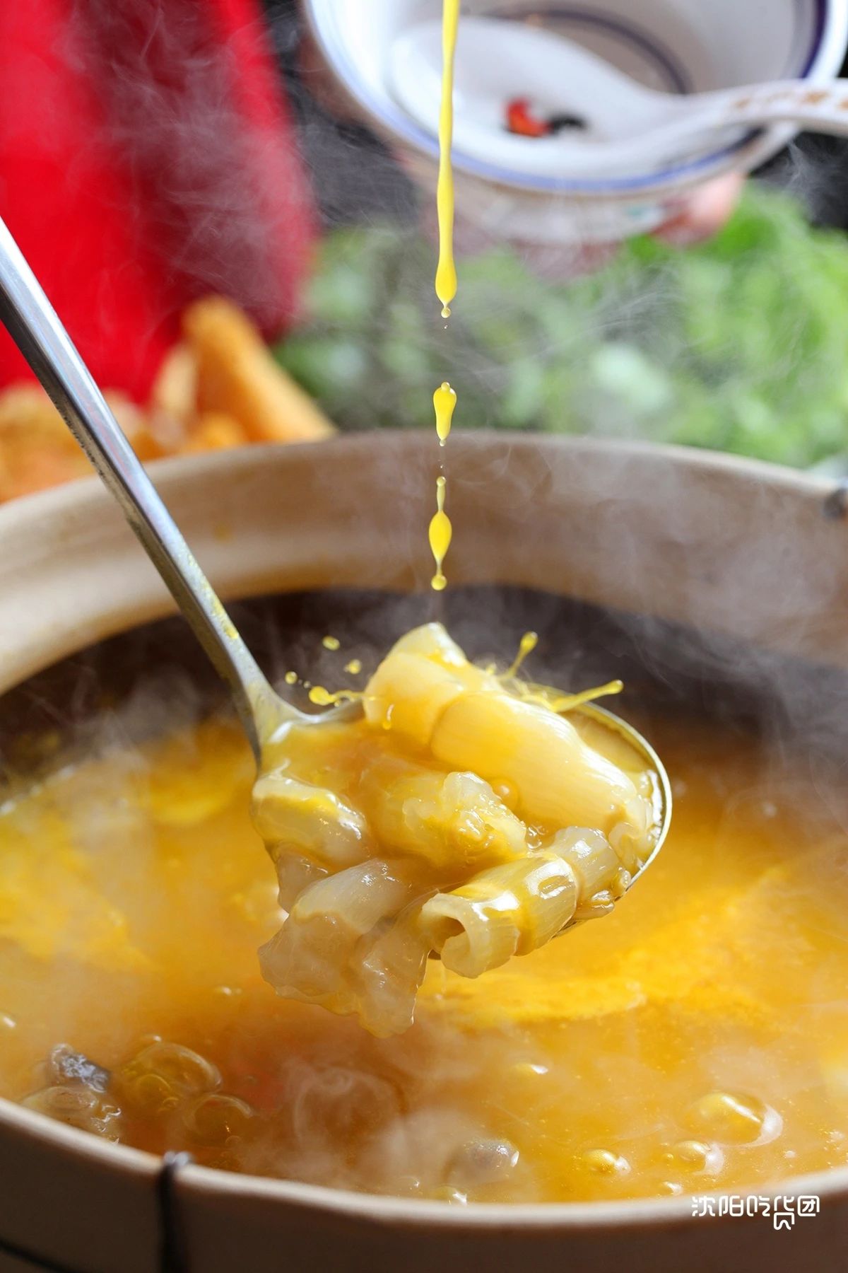 5折嗨吃高性价比港式火锅8小时熬出的金汤一口入魂