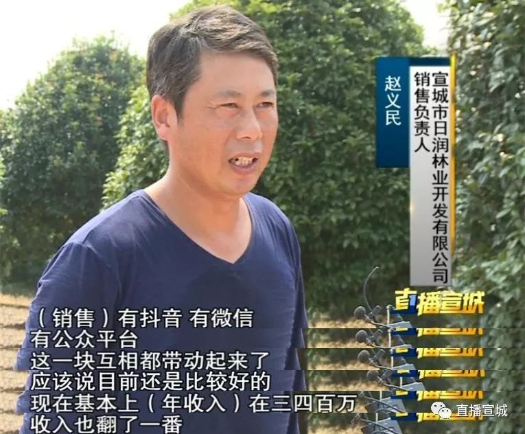 满城飘香宣城千亩桂花地了解一下