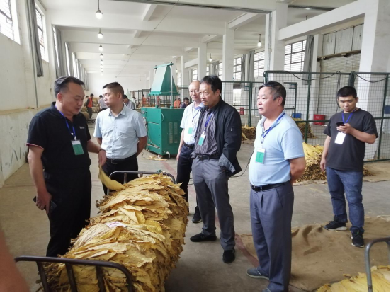 州烟草专卖局局长何文炜深入我县调研