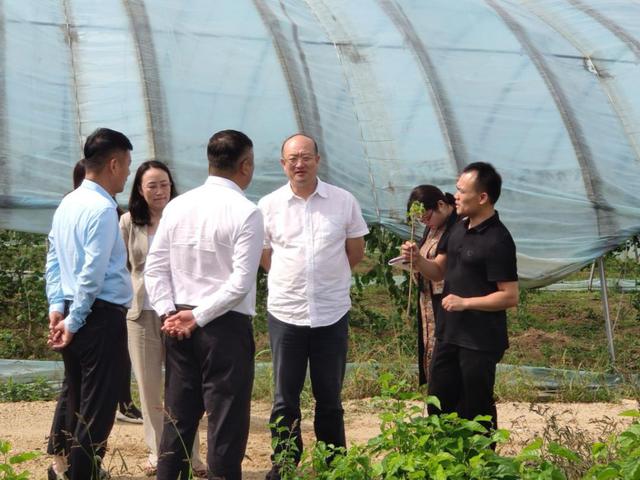 快讯吉林市副市长九三学社吉林市委主委陈东调研昌邑区助力百村振兴