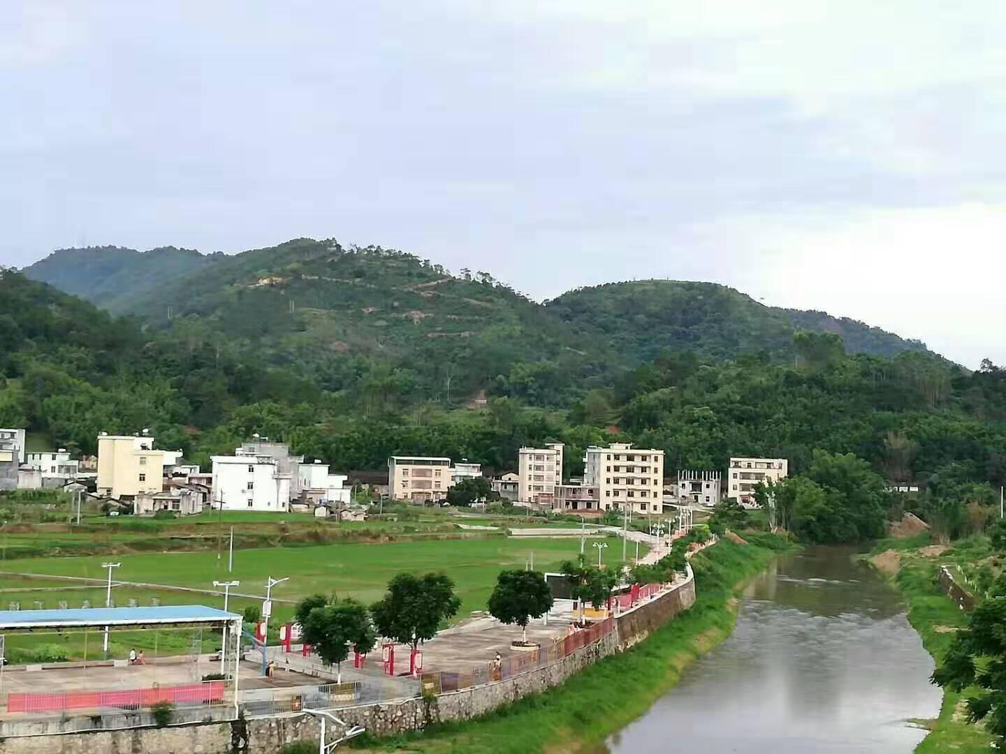 金垌镇人居环境提质升级 垃圾坑变公园