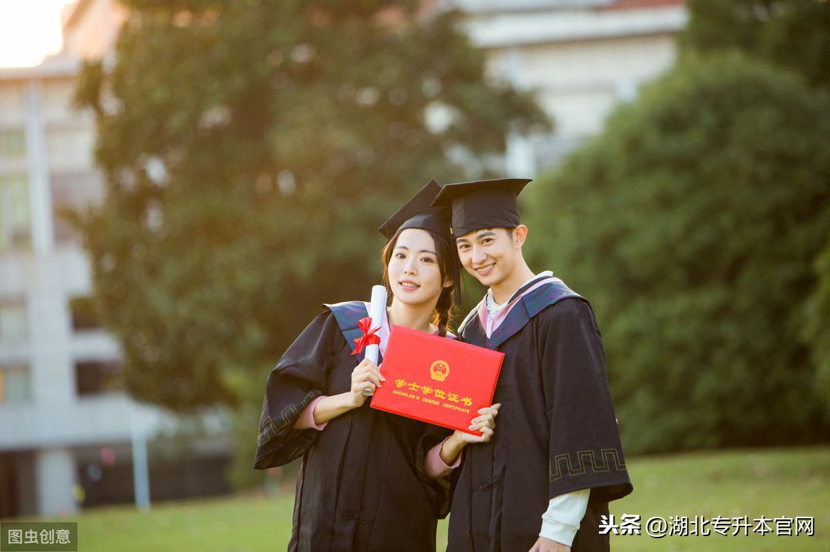 专升本上岸学长的日常小提示,学会少走好多弯路