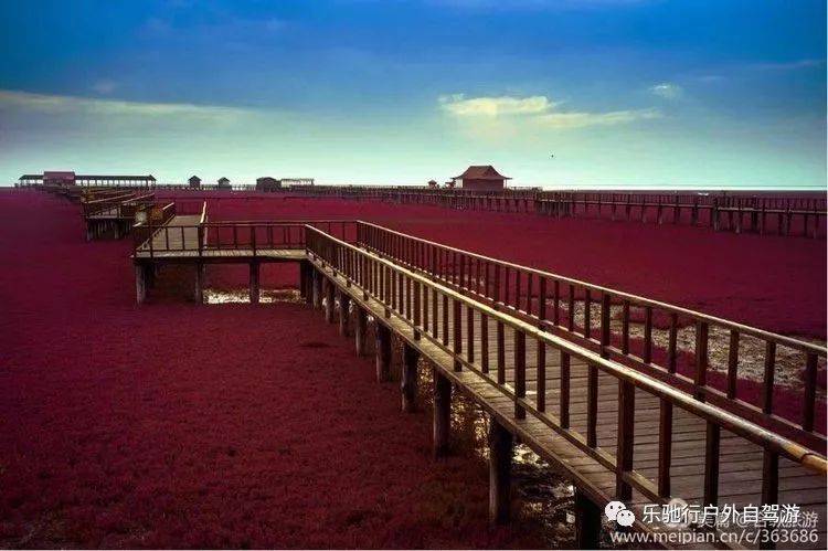 天下奇觀紅海灘國家風景廊道東方華地城園林溫泉抓螃蟹龍回頭寧遠古城