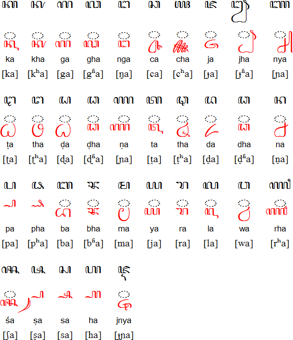 爪哇字母表卡拉坎小语种口语网官网