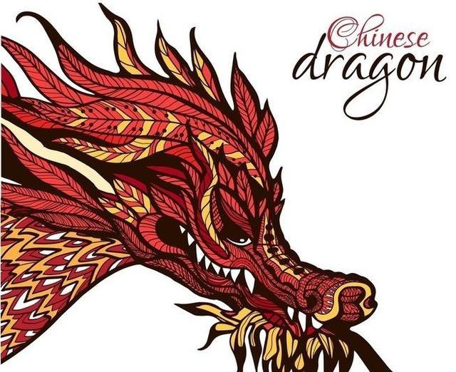 北大女博士的终极领悟:从市场炒作逻辑如何筛选龙头股_周期