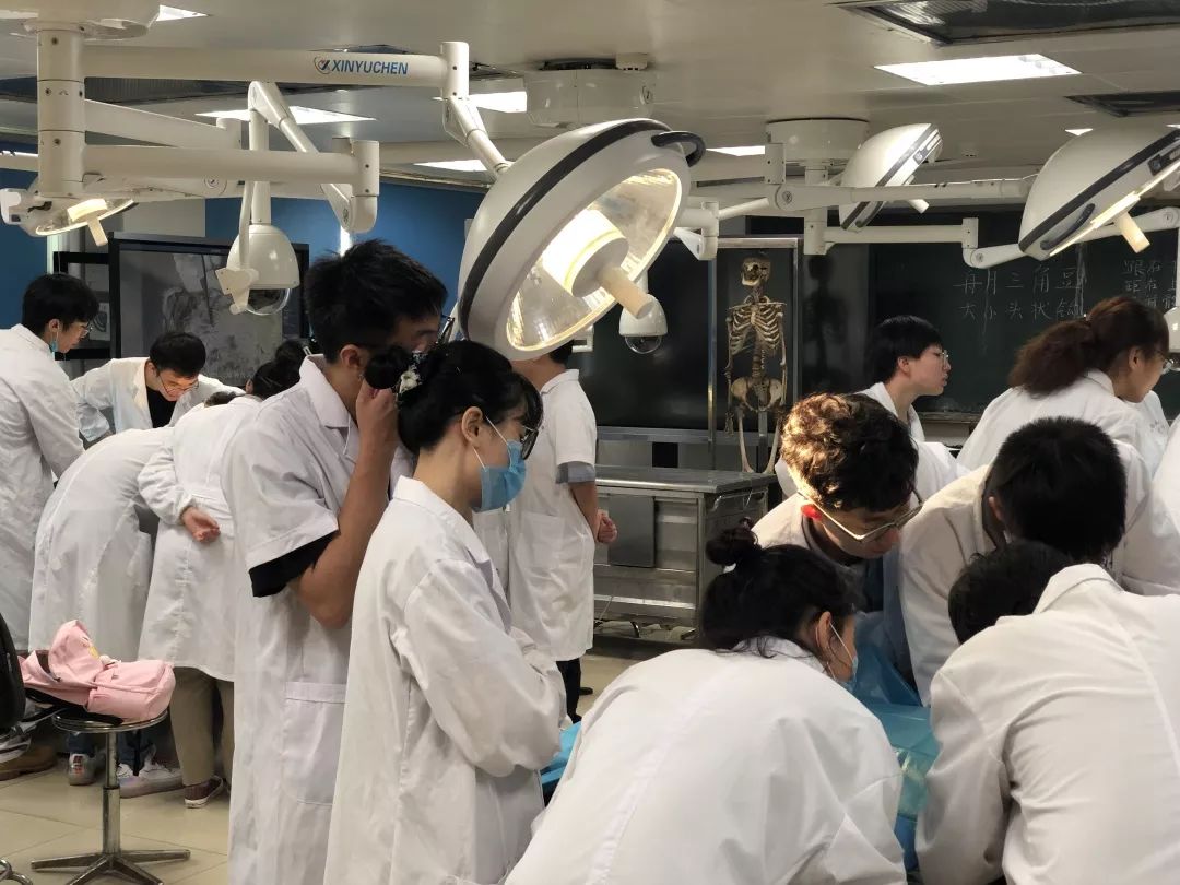关注丨解剖第一课中南大学湘雅医学院百名学生致敬大体老师