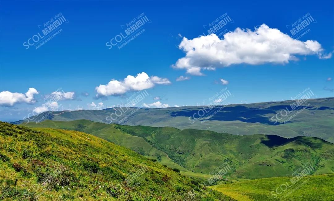 走进南方呼伦贝尔探秘凉山雷波县阿合哈洛大草原