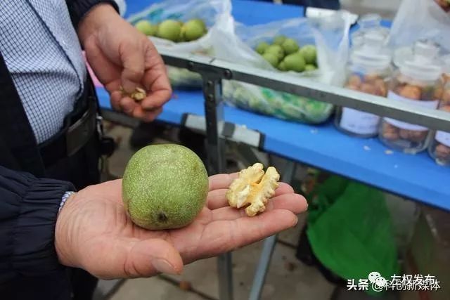 壮丽七十年奋斗新时代左权县召开第四届核桃文化节暨产品推介平台上线