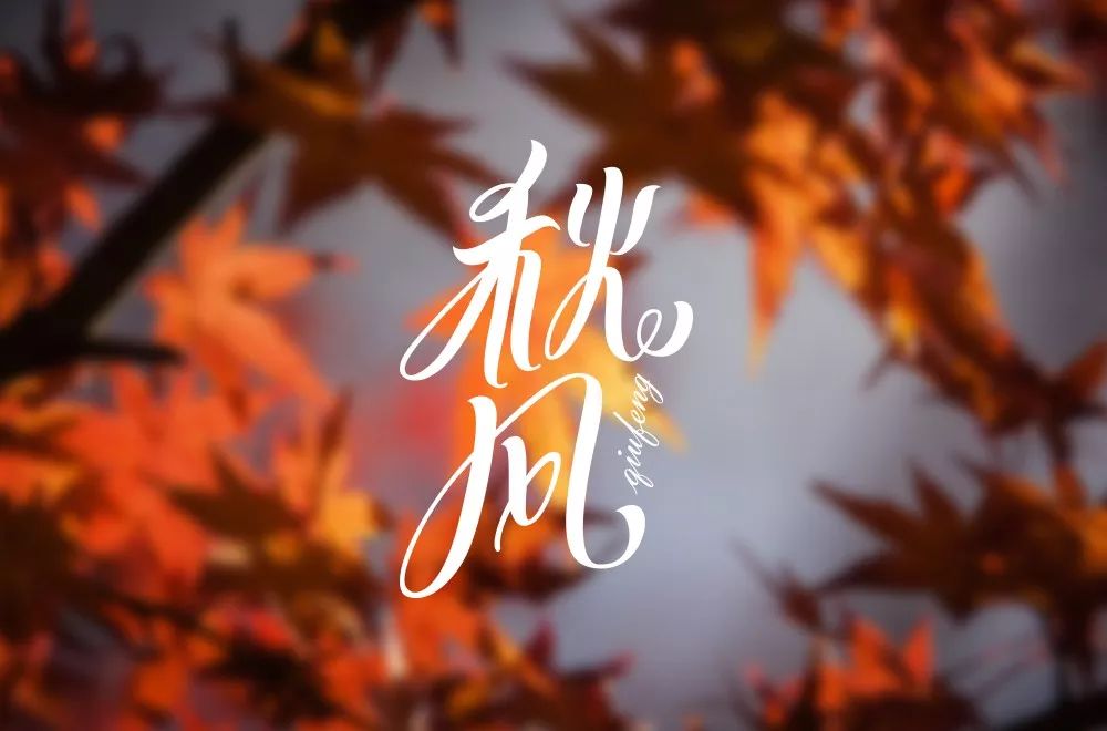 字体帮第1314篇秋风明日命题说好不哭