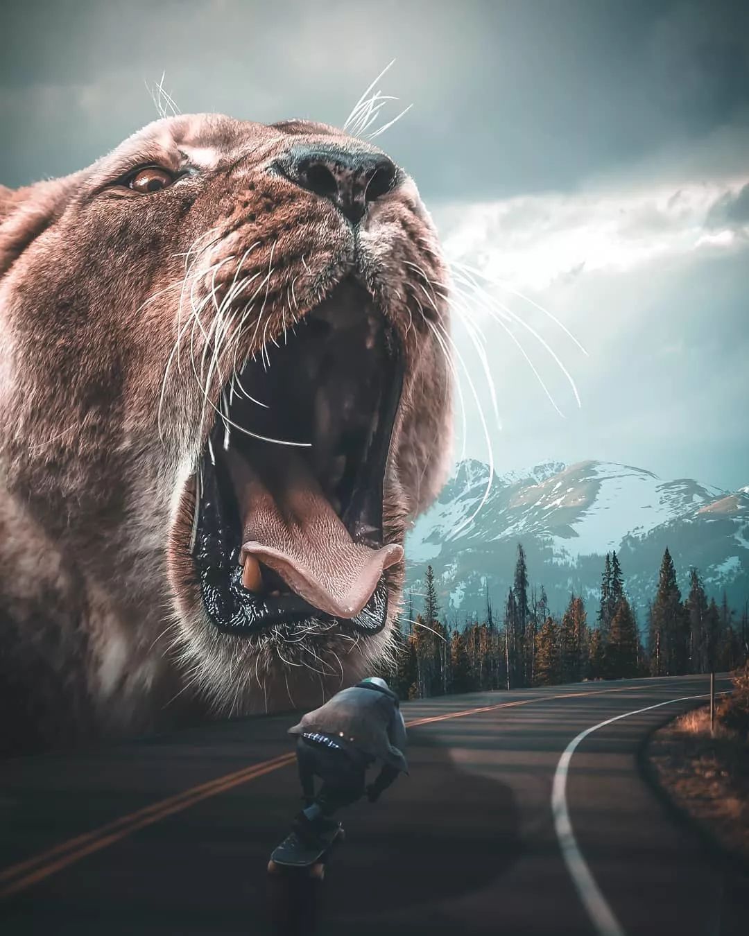 ps大神的作品怎么样赞赞赞赞赞赞赞赞