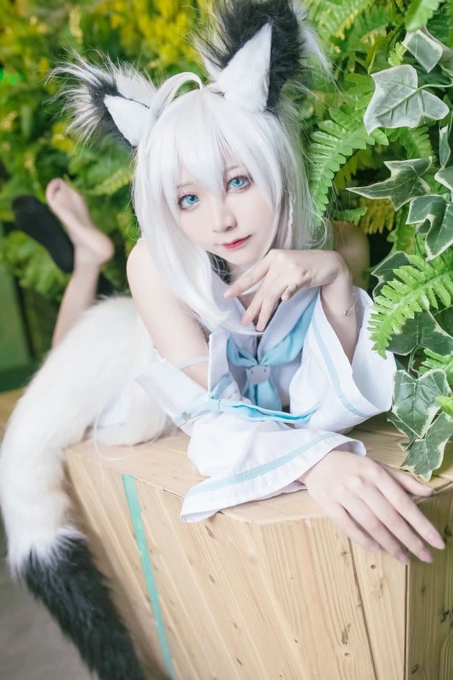 cos:虚拟兽耳jk 白上吹雪