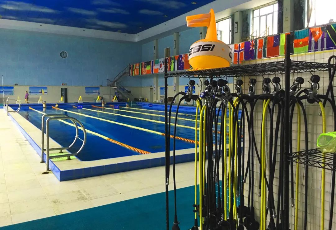 你身边的padi济南头号玩家潜水俱乐部