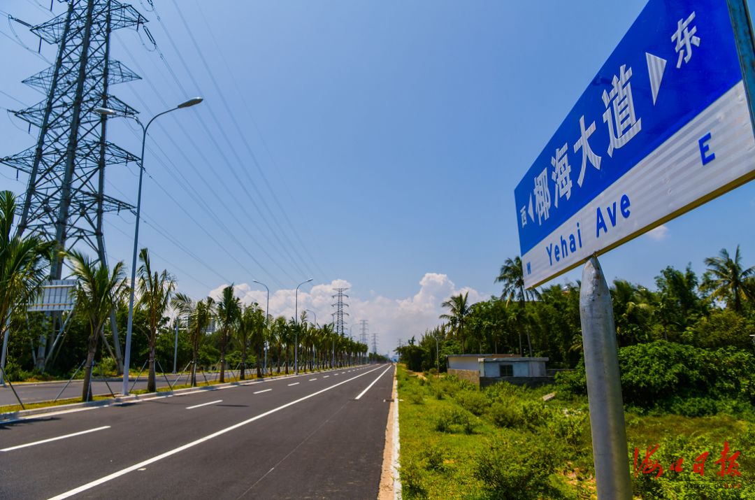 椰海大道图片