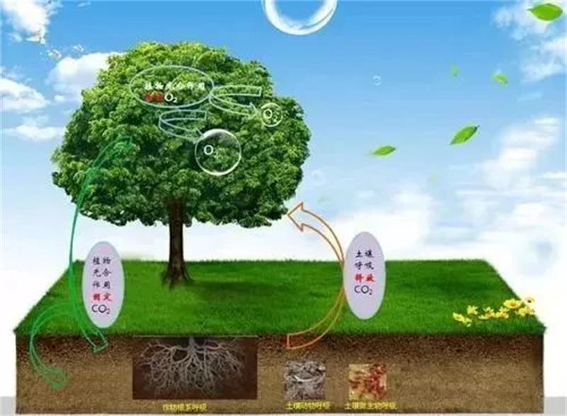 丰夷有机碳元素增效剂,指以生物炭和麦饭石为主原料,或利用碳技术,碳