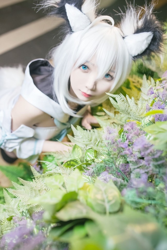 cos:虚拟兽耳jk 白上吹雪