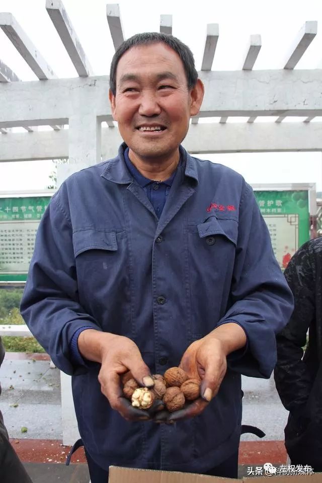 壮丽七十年奋斗新时代左权县召开第四届核桃文化节暨产品推介平台上线