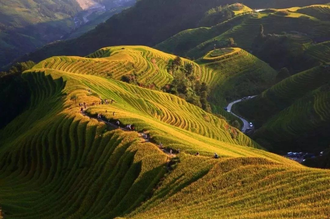 龙脊之秋徜徉金色龙脊梯田遇龙河休闲骑行艳遇阳朔西街