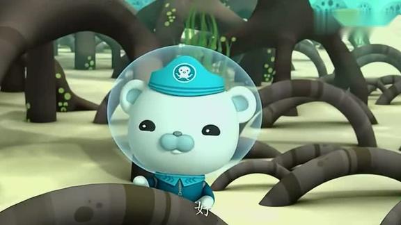 海底小纵队梭鱼们都喜欢亮闪闪的东西