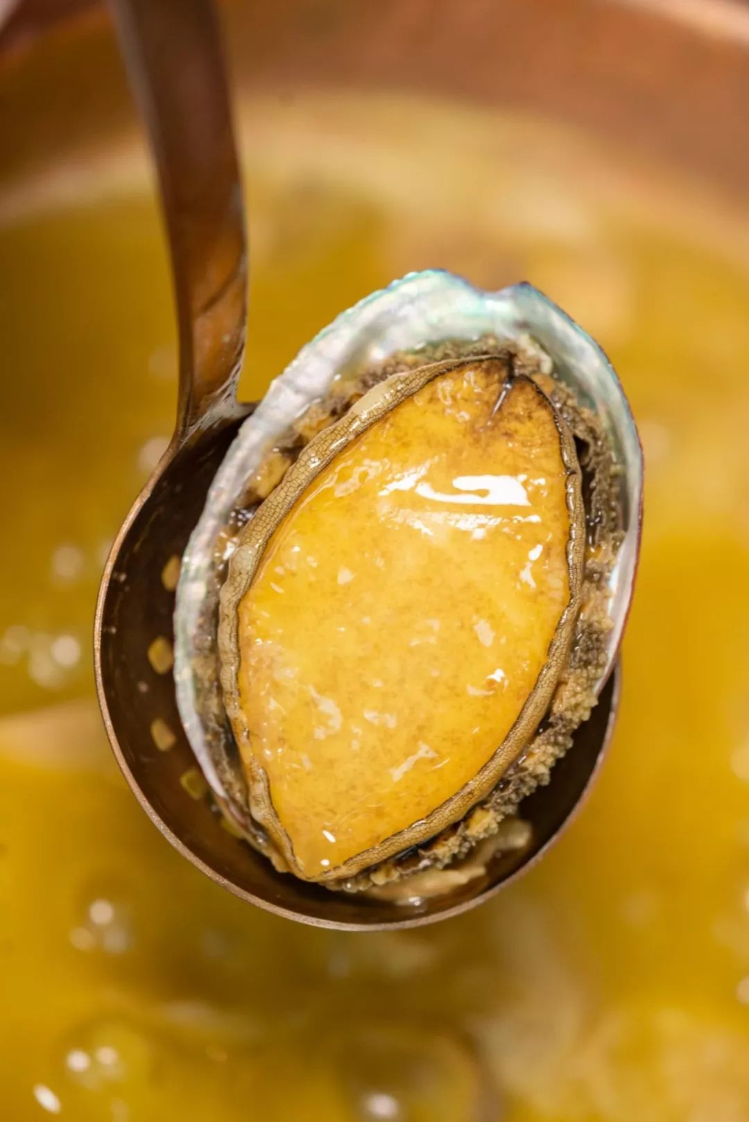 之心城港式打边炉1万只鲍鱼免费豪请开业就荣登美食榜冠军