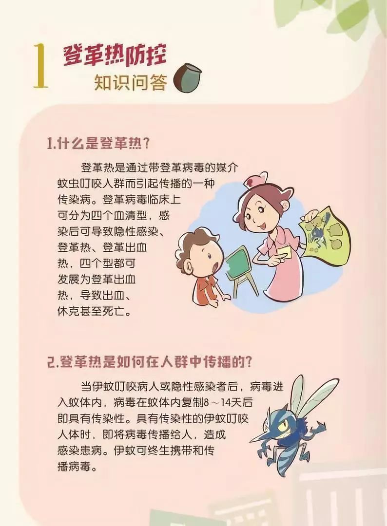 【创文巩卫】超齐全!登革热防控知识手册