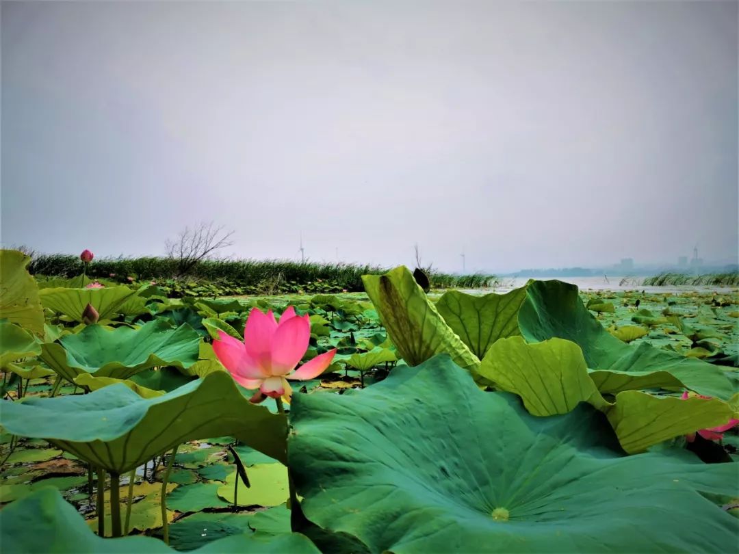 官马大数据这里有一份您的完赛报告