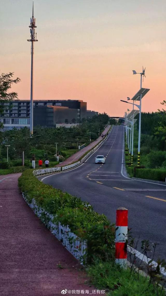 在青岛最美环岛路即将举办一场趣味骑行赛你一定不要错过