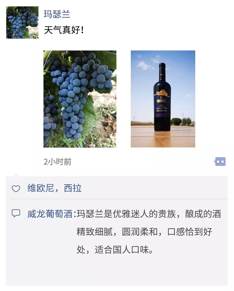 【下酒菜】假如釀酒葡萄有朋友圈.