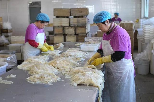 让参展人员能够更加直观的了解营口海蜇加工的传统工艺并推出三种特产