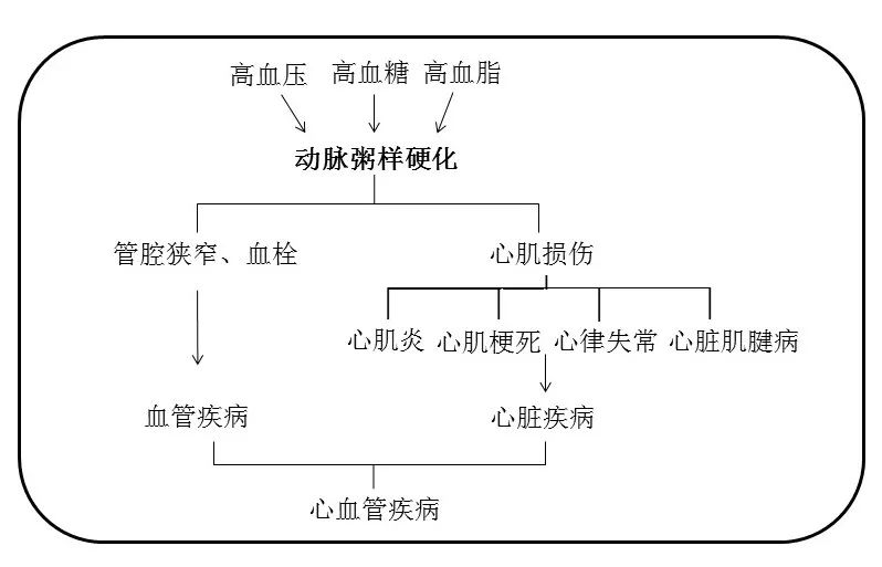 茶科技进展 