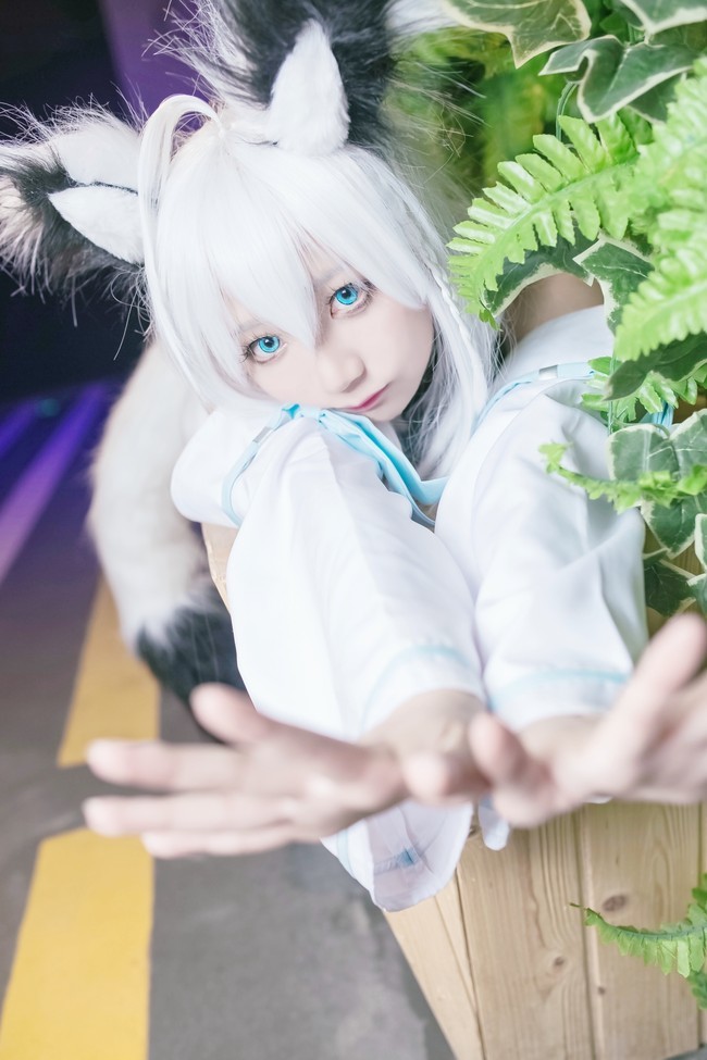 cos:虚拟兽耳jk 白上吹雪