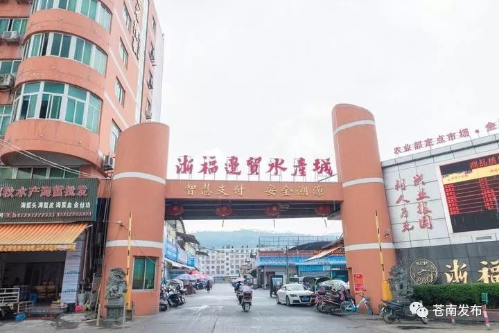本地产业探秘：苍南礼品厂引领时尚潮流