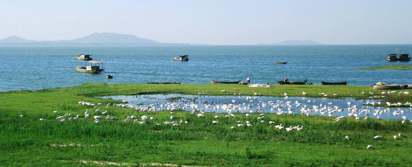 原创安徽很需要保护的湖泊是长江中下游五大淡水湖之一人气却很低