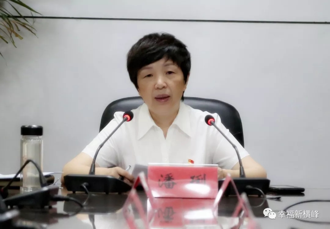 潘琍出席横峰县政府党组不忘初心牢记使命主题教育工作会