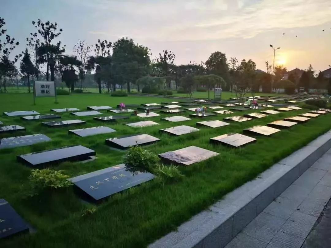 保生态耕地,为子孙造福,张湾区殡葬改革方案发布