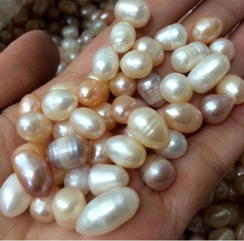 有核也没100%有用啊,珍珠蚌的层次比较低,又是在品质输给海水的淡水里