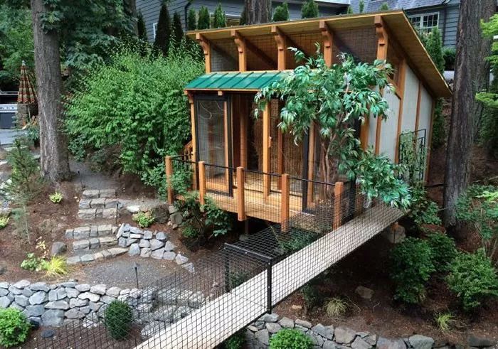 精致的猫咪乐园现在猫有了设计灵感也有了与一个catio距离只差房子了!