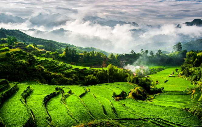 截稿提醒:第一届浙江省优质绿色农产品包装设计大赛