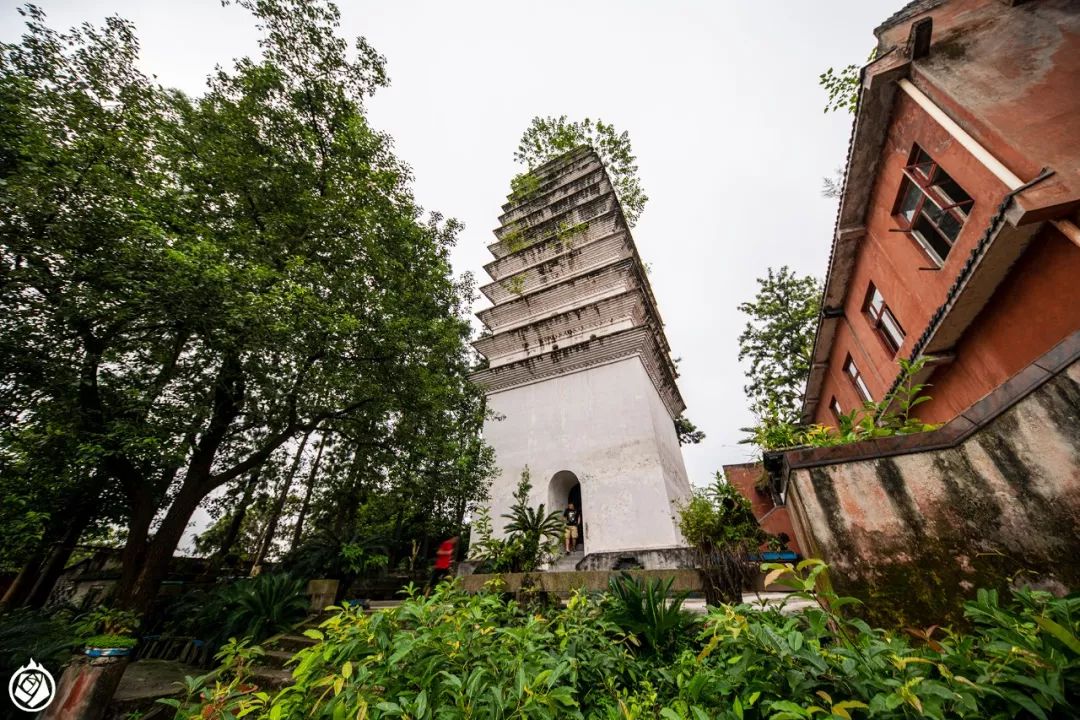 大佛凝视江水回转处已千年,泪流满面_唐代